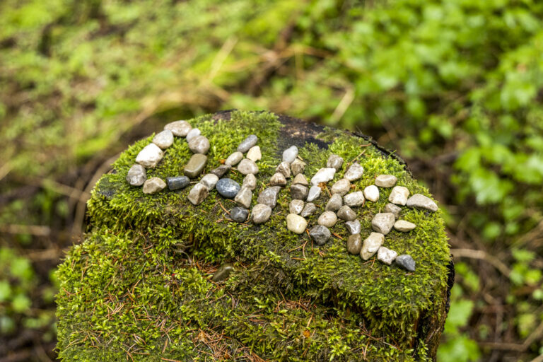 Seelenkraft bietet dir ThetaHealing® | Chakrenharmonisierung | Energieflüsse harmonisieren | energetische Hausreinigung | Tierkommunikation | antivirale Ernährung und vieles mehr