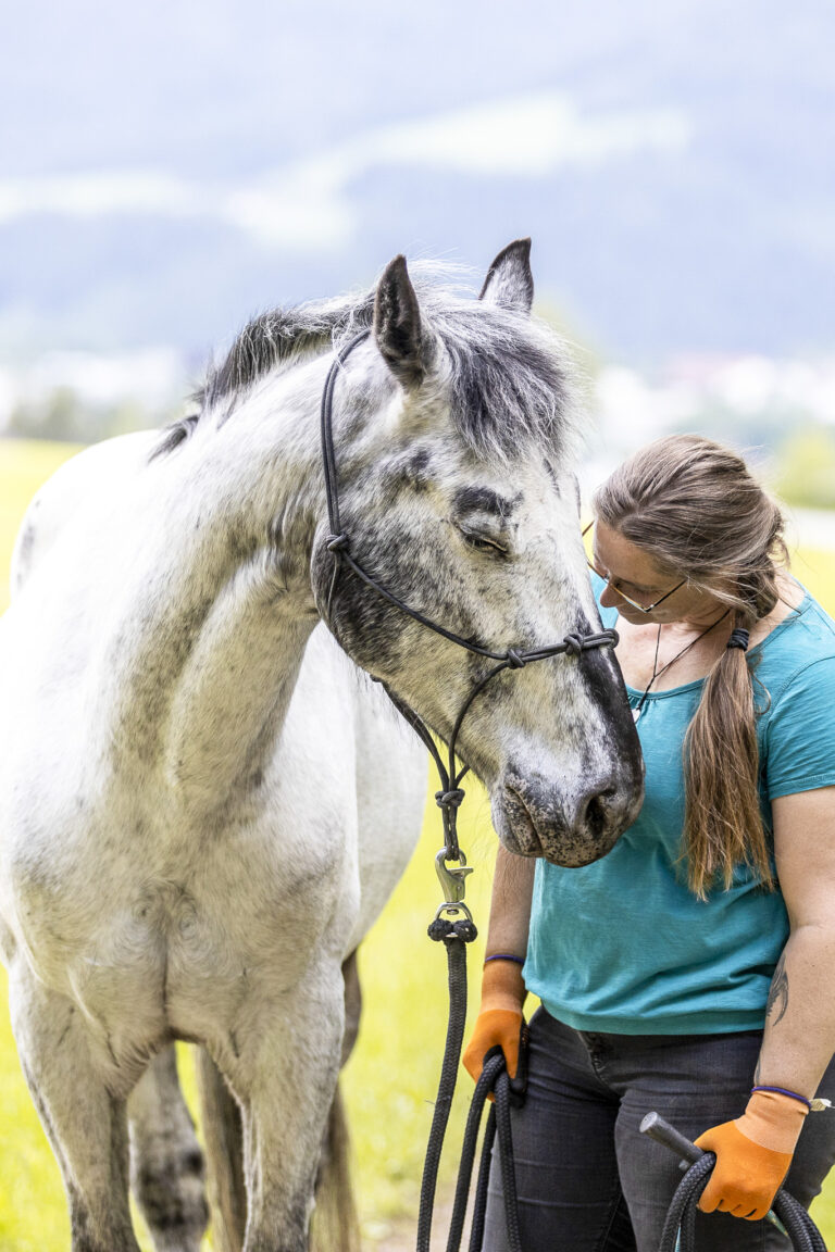 Seelenkraft bietet dir ThetaHealing® | Chakrenharmonisierung | Energieflüsse harmonisieren | energetische Hausreinigung | Tierkommunikation | antivirale Ernährung und vieles mehr