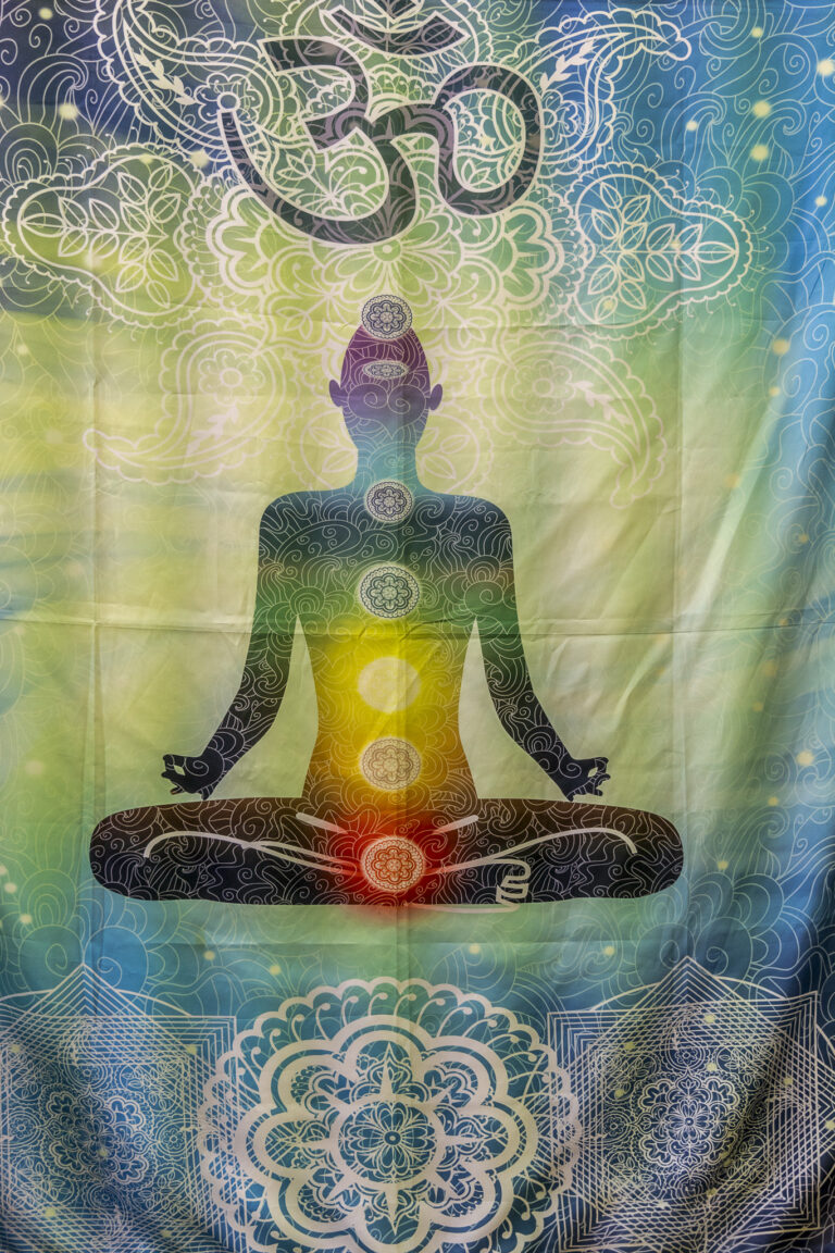 Seelenkraft bietet dir ThetaHealing® | Chakrenharmonisierung | Energieflüsse harmonisieren | energetische Hausreinigung | Tierkommunikation | antivirale Ernährung und vieles mehr